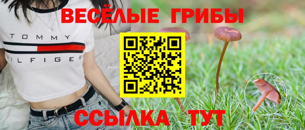 Псилоцибиновые грибы GOLDEN TEACHER Светлоград