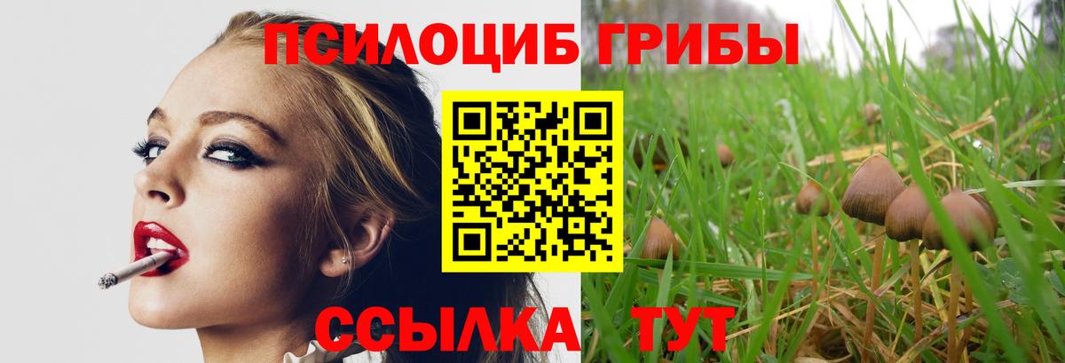 Светлоград  Псилоцибиновые грибы мицелий  Вход с VPN  Галлюциногенные грибы MAGIC MUSHROOMS 
